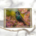 Personalized Custom Made Soap (1 BAR EA.)