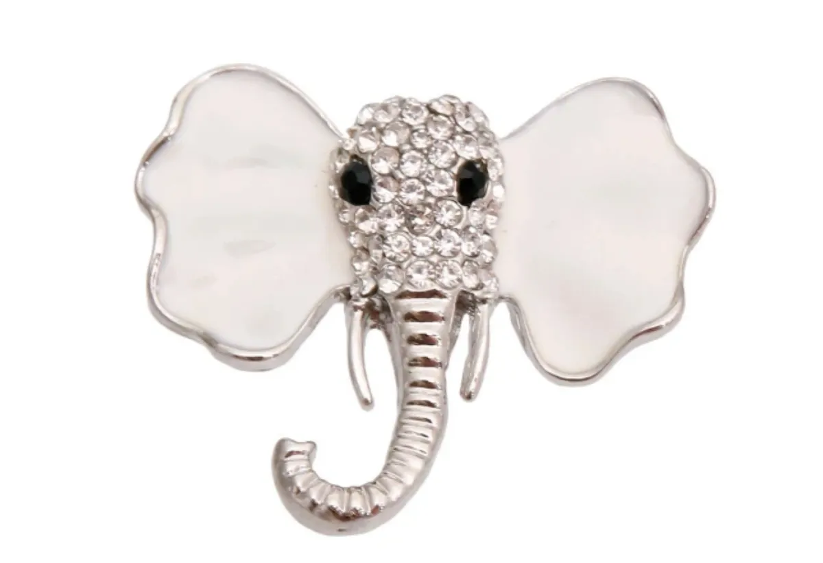 Brooches