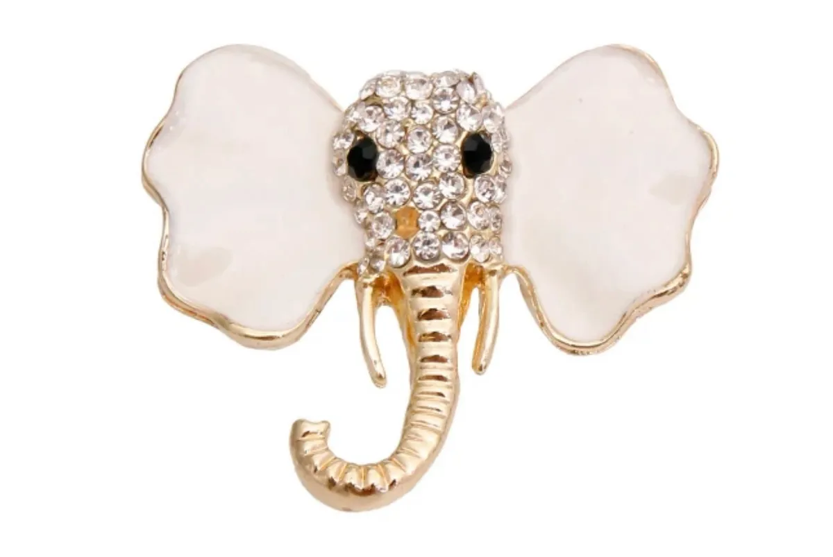 Brooches