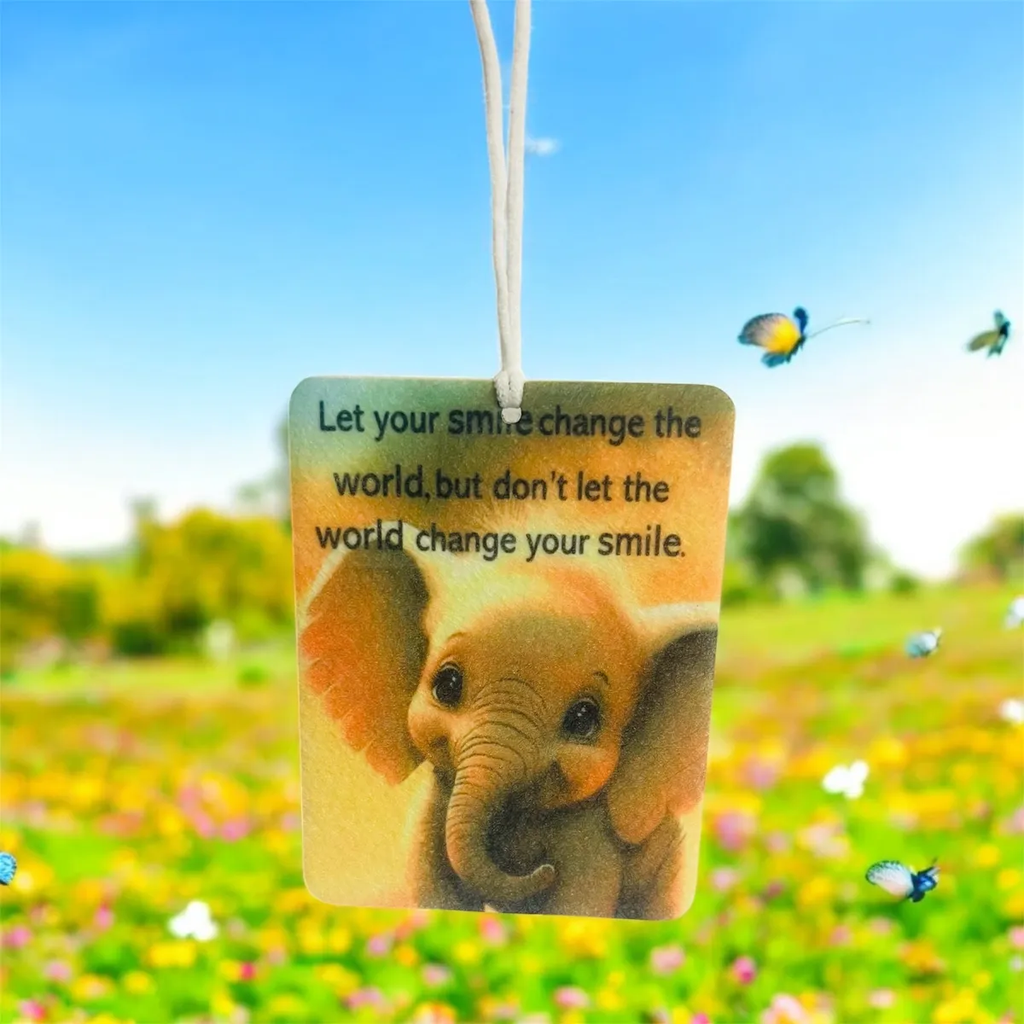 Felt Car Air Fresheners (1)